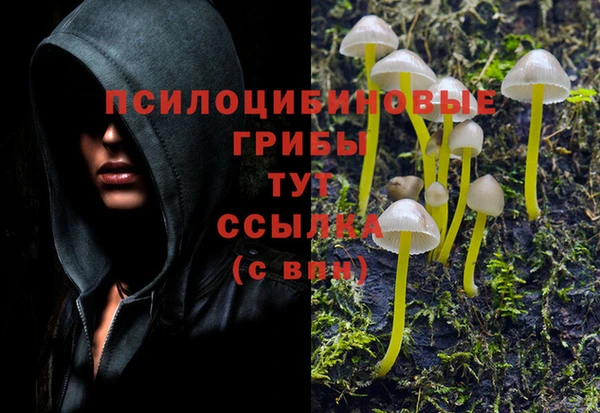 apvp Беломорск